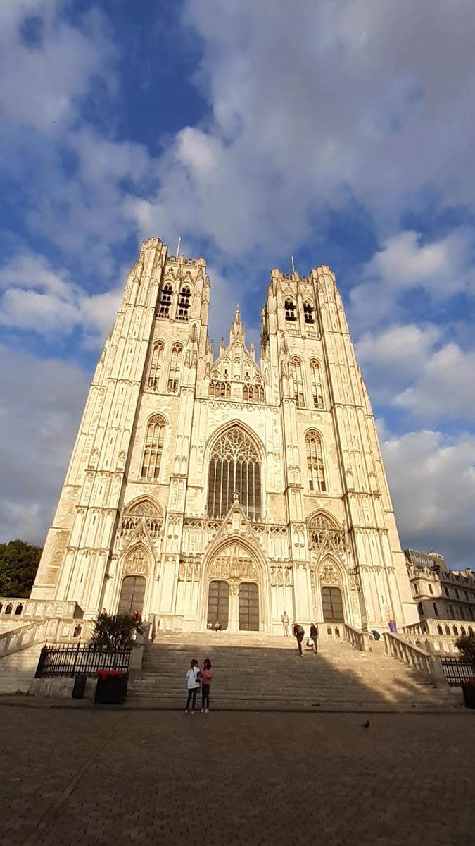 St Michael & St Gudula Cathedral — fotoğraf 3
