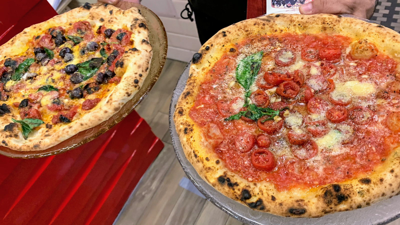 Starita — photo 11