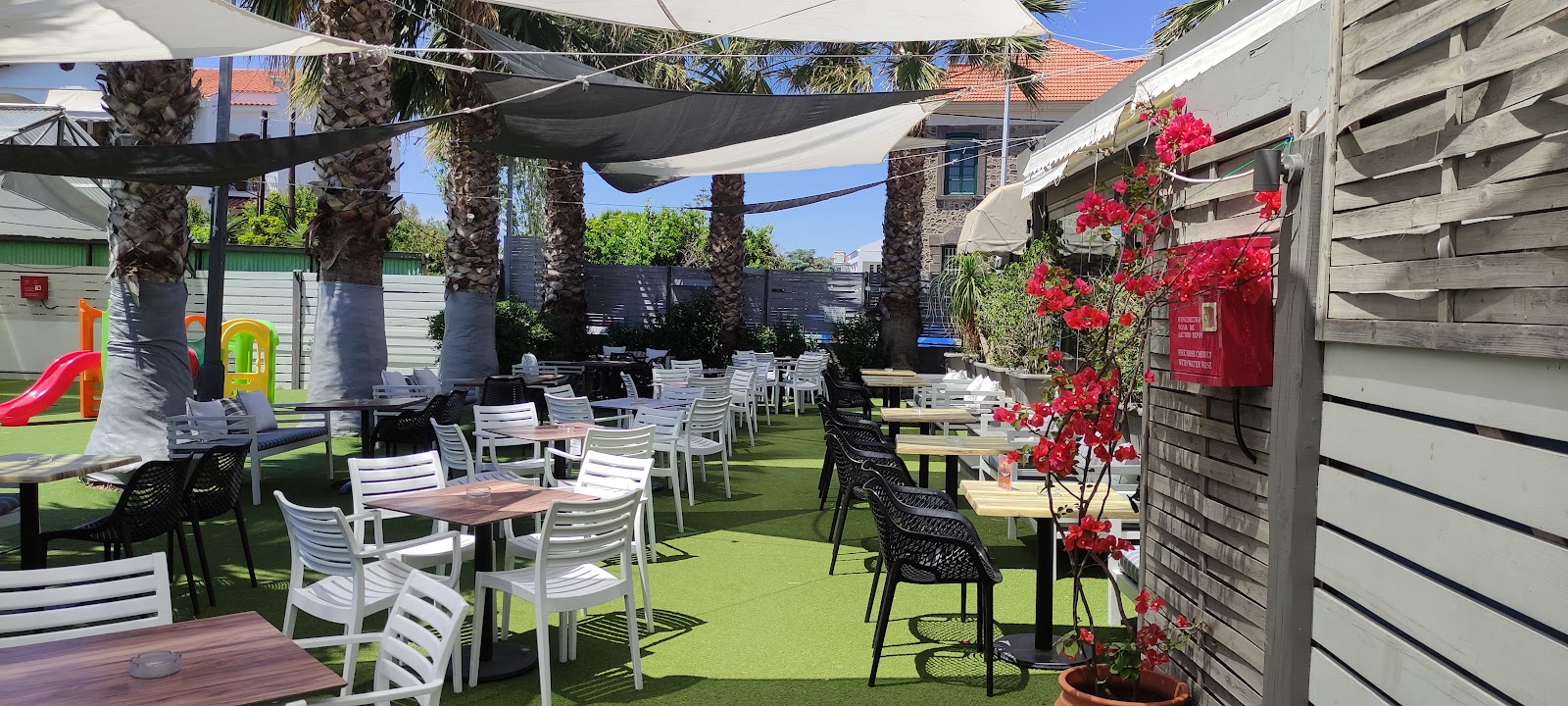 STATUS CAFE — photo