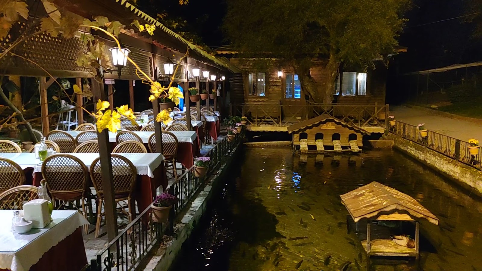 Suçıktı Balık Lokantası — fotoğraf 5