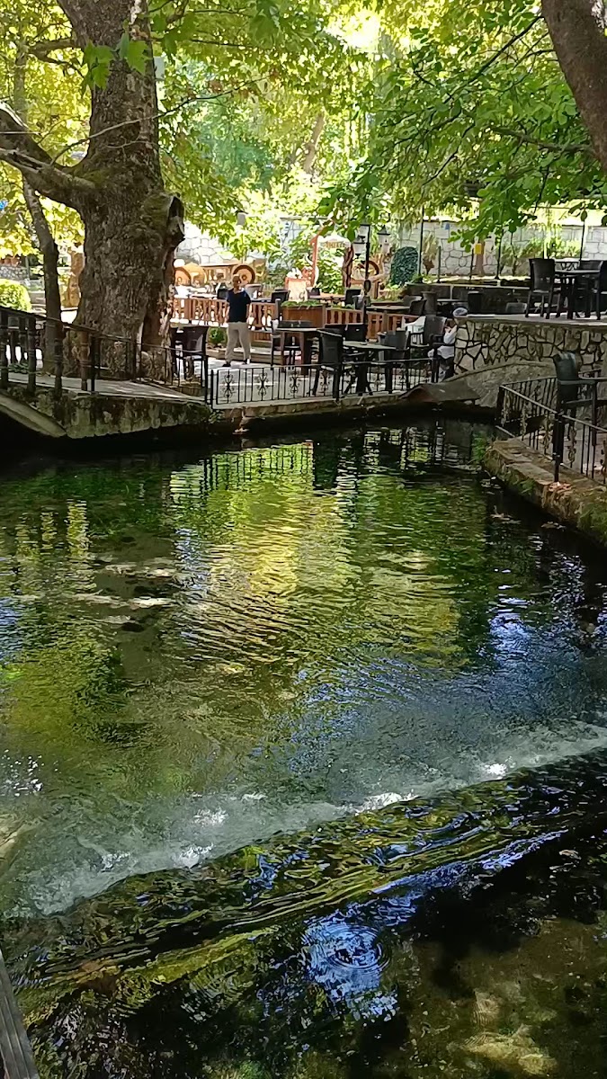 Suçıktı Mesire Alanı — fotoğraf 3