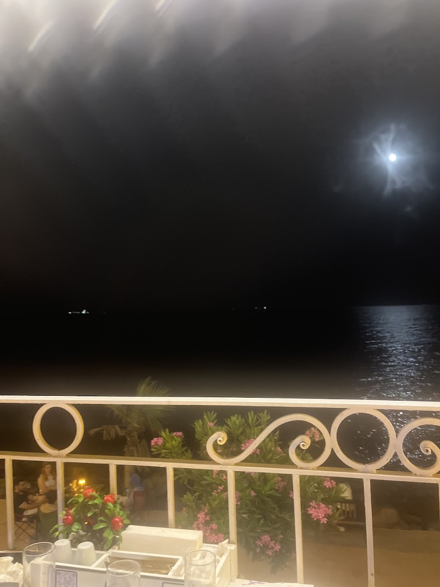 Sugar Chef's Sea — fotoğraf 2