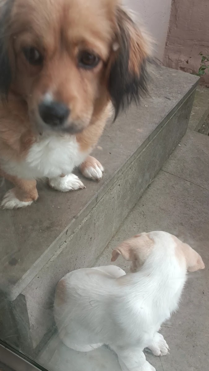 Şükrü Usta Lokantası — fotoğraf 3