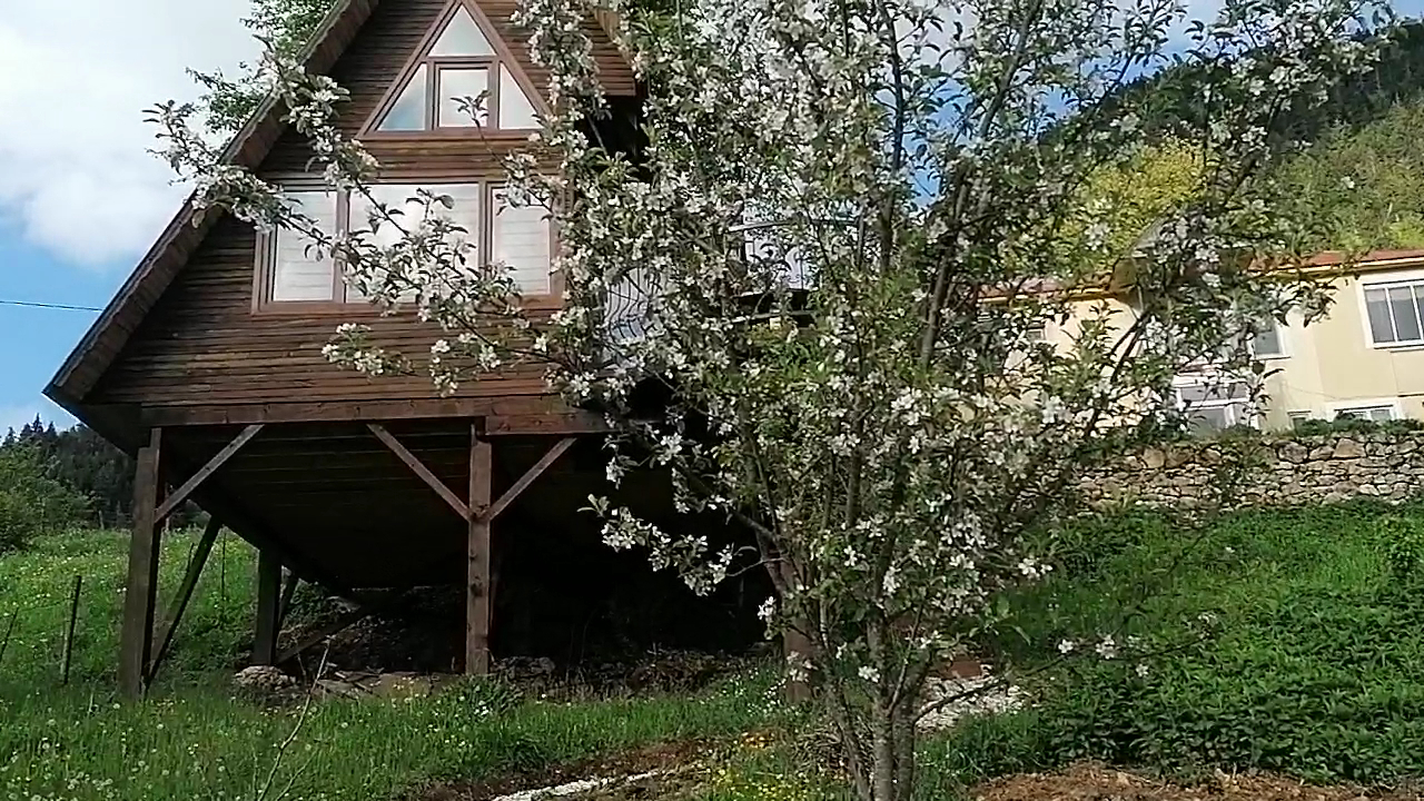 SÜLLÜ DAĞ EVİ — fotoğraf 3