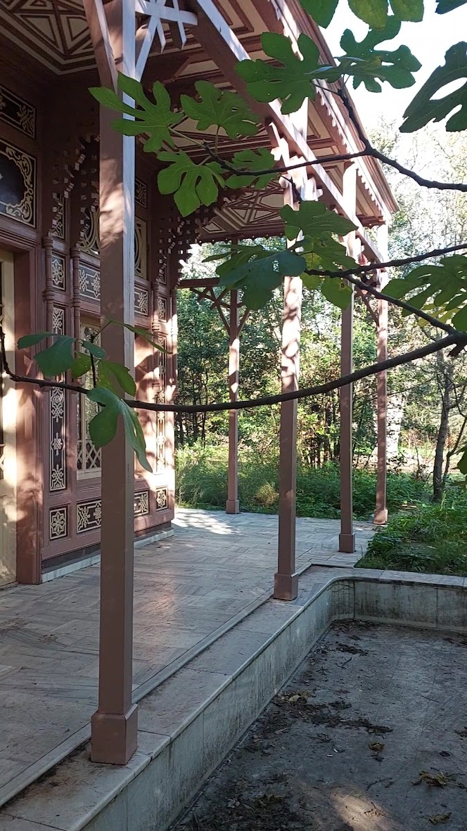 Sultan Abdülaziz Av Köşkü Ve izci evi müzesi — fotoğraf 3