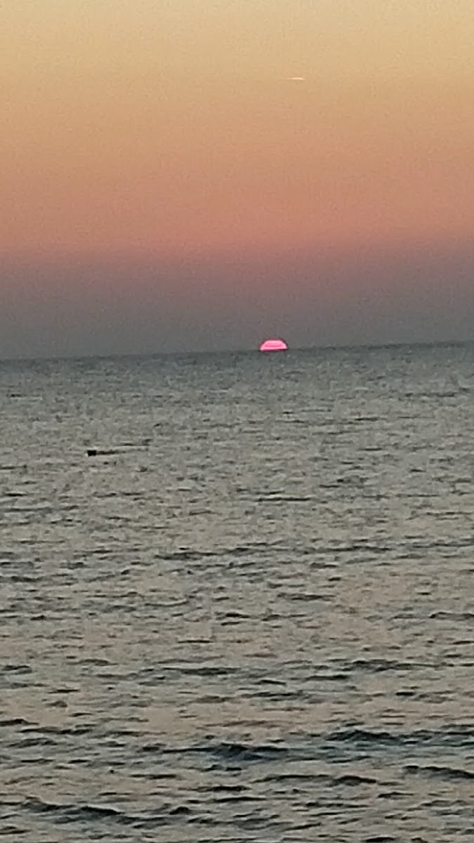 Sultan Ahmet Hamam Turkish Bath - Sauna - Massage — fotoğraf 3