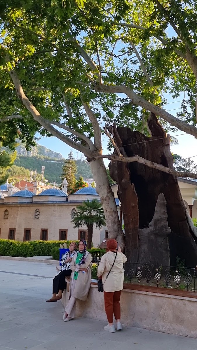 Sultan II. Bâyezid Camii — fotoğraf 3