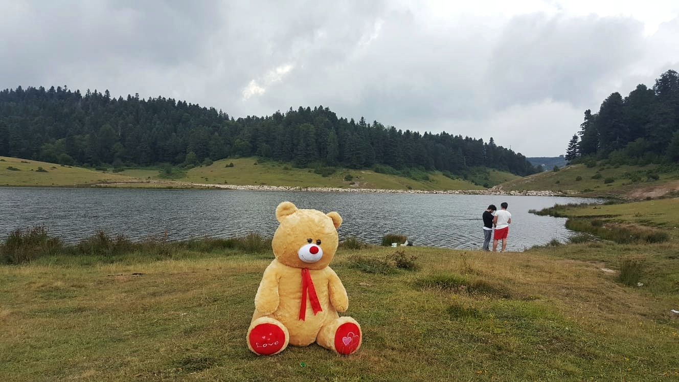 Sultanpınar Yaylası — fotoğraf 4