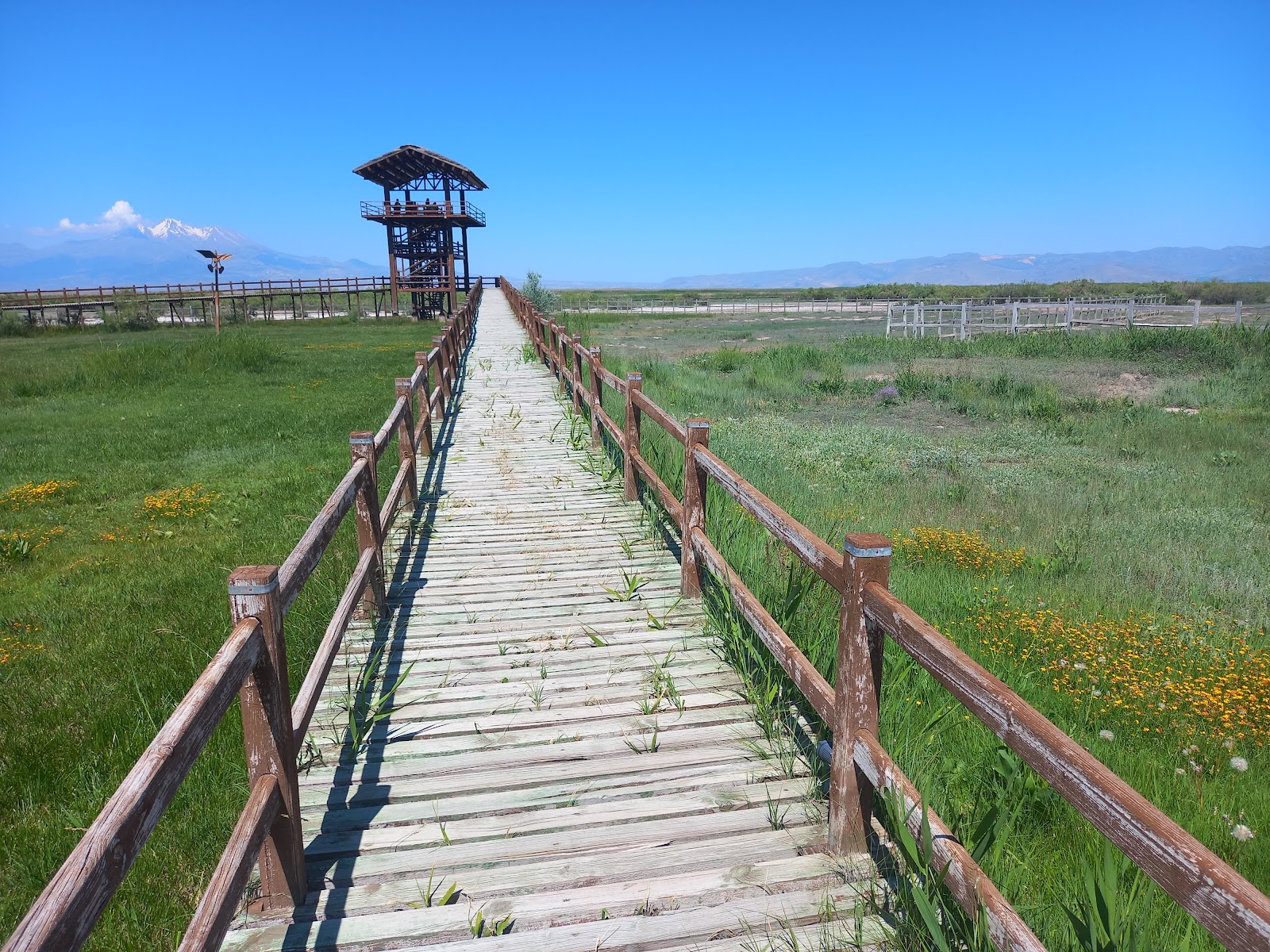 Sultansazlığı Milli Parkı — fotoğraf 5