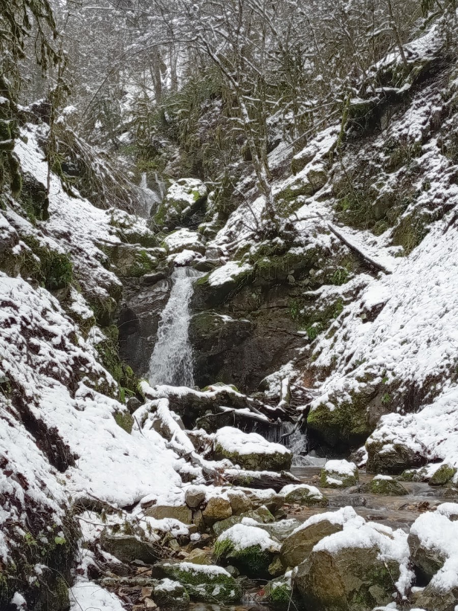 Sülüklü Göl Tabiat Parkı — fotoğraf 2