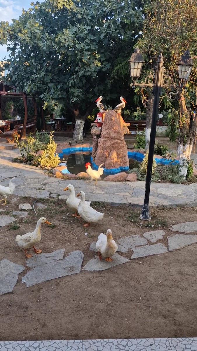 Sülün Köfte (Kır Bahçesi) — fotoğraf 8