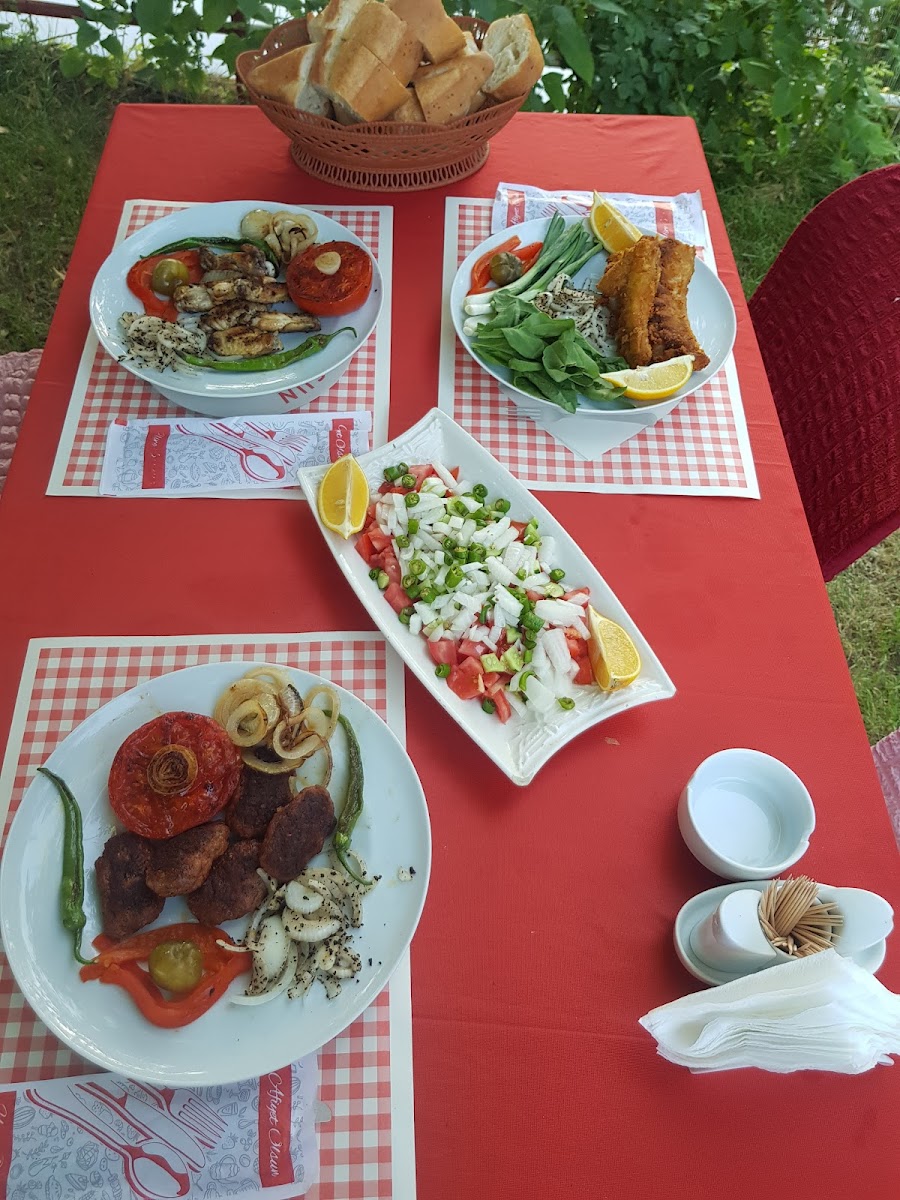 SÜVARİLER AT ÇİFTLİĞİ — fotoğraf 2