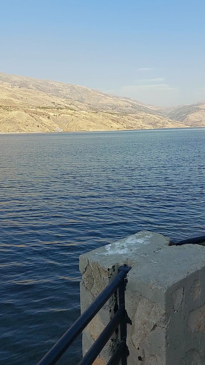Süzgün iskelesi Mesire Alani — photo 3