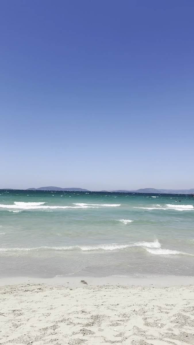 Swissotel Çeşme Resort & Spa — photo 3