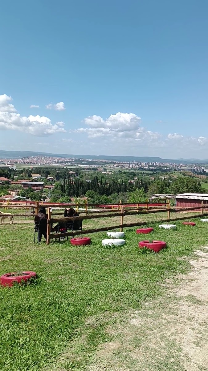 Tabi-at Çiftliği — fotoğraf 3