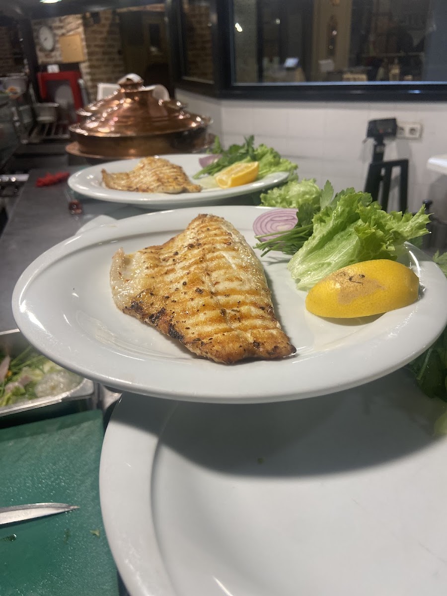 Taka Balık (Fish) — fotoğraf 5