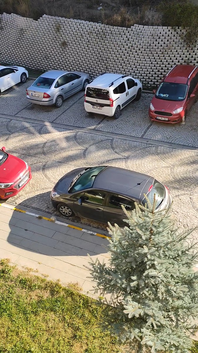 Taraklı Termal — fotoğraf 3