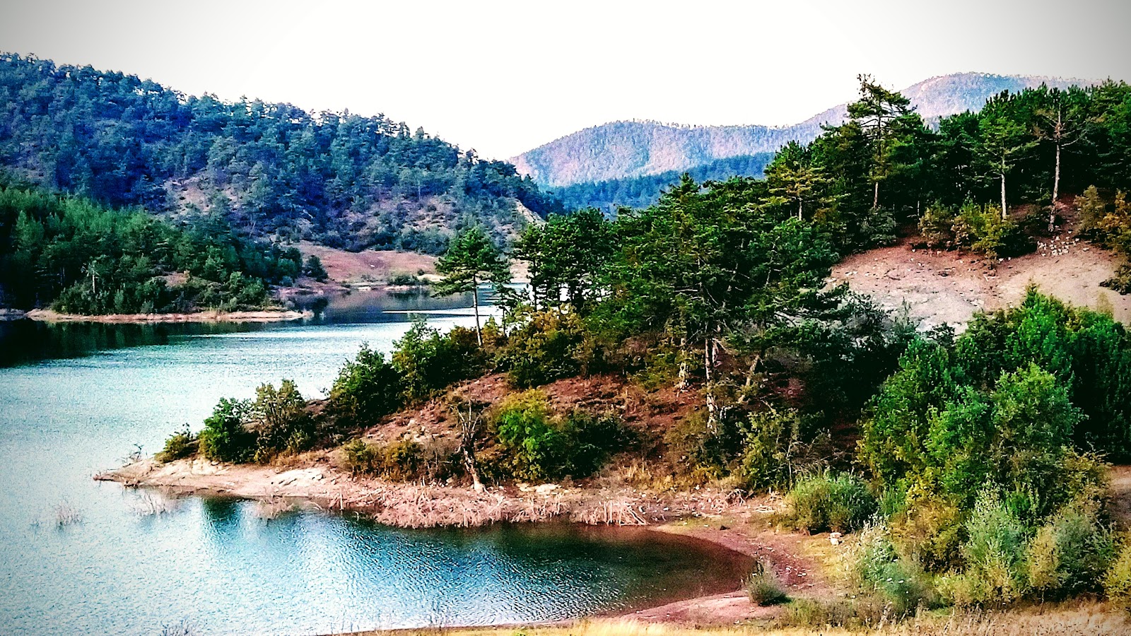 Taraklı — fotoğraf 2