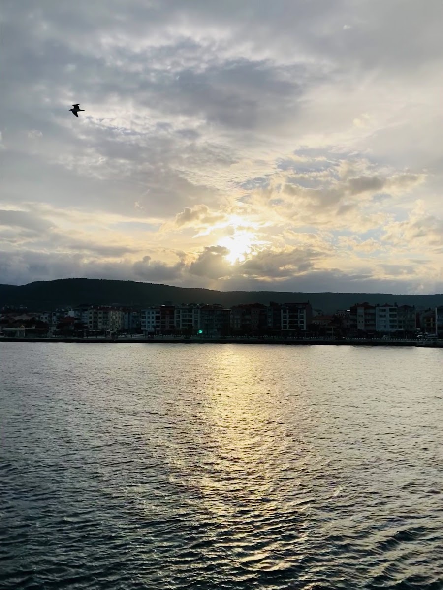 Tarihe Saygı Parkı - Eceabat — fotoğraf 2