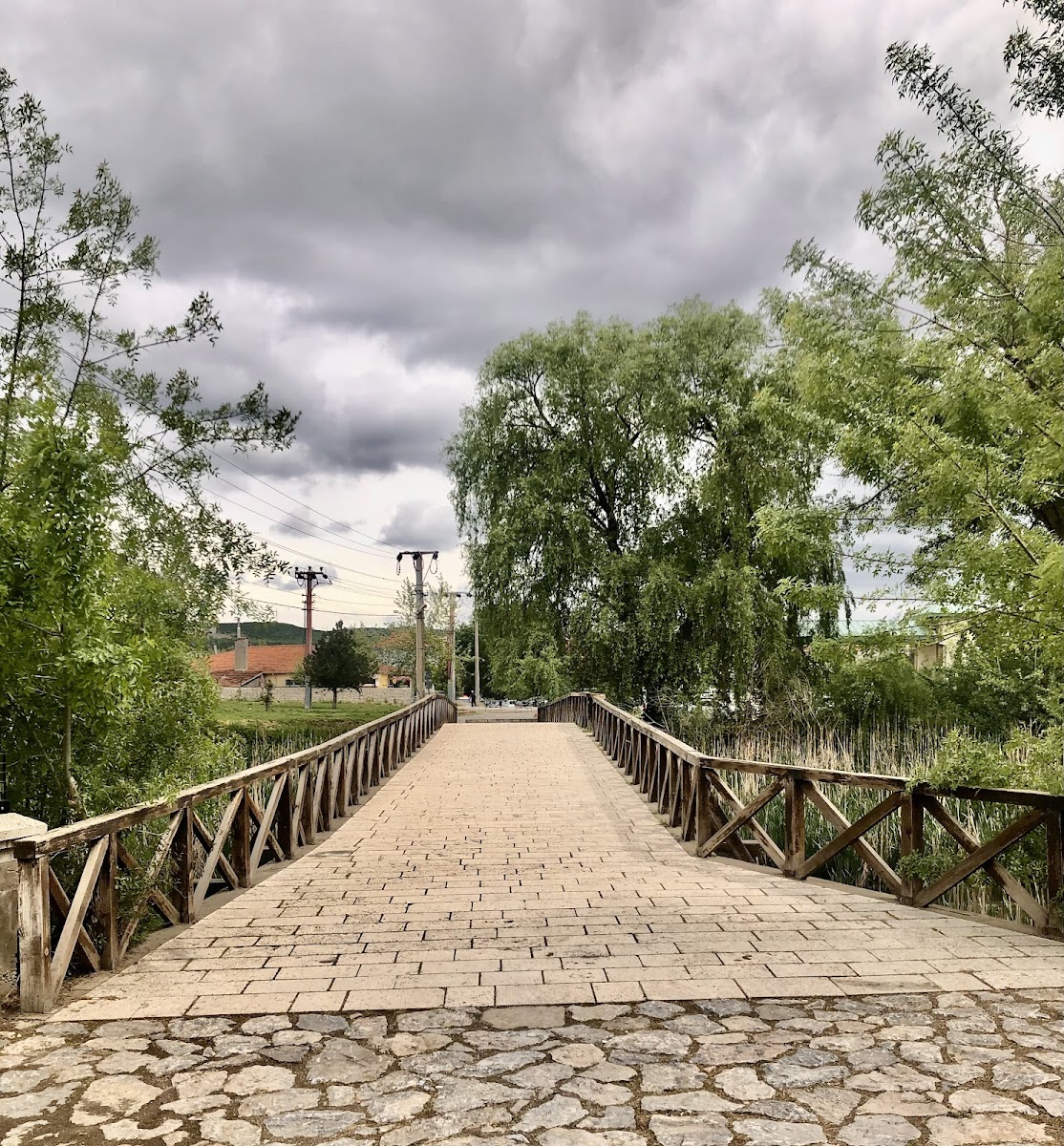 Tarihi Ada Köprüsü — fotoğraf