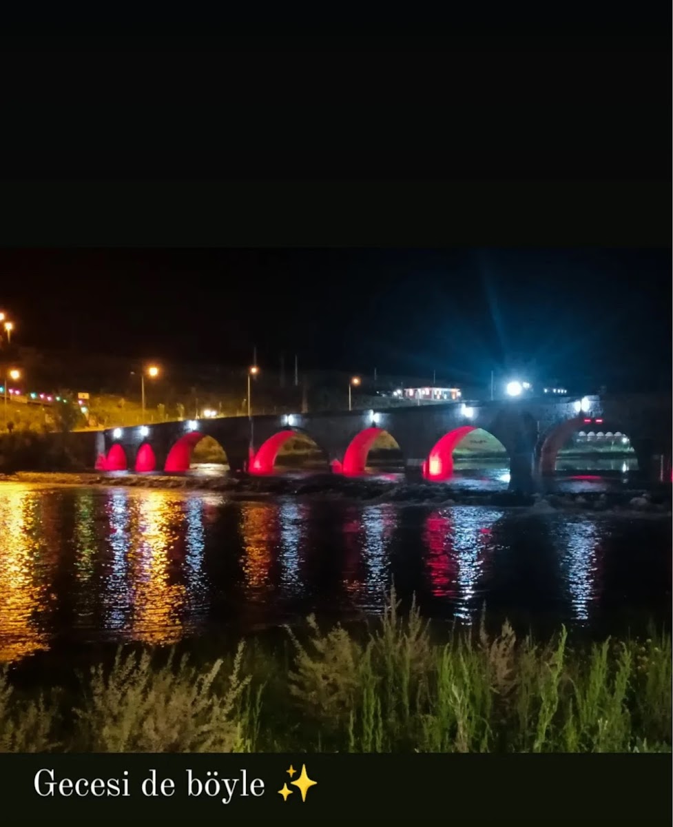 Tarihi Murat Köprüsü — fotoğraf 2