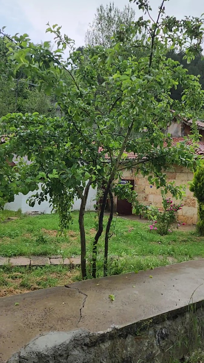 Tarihi Termal Sey Hamamı — fotoğraf 3