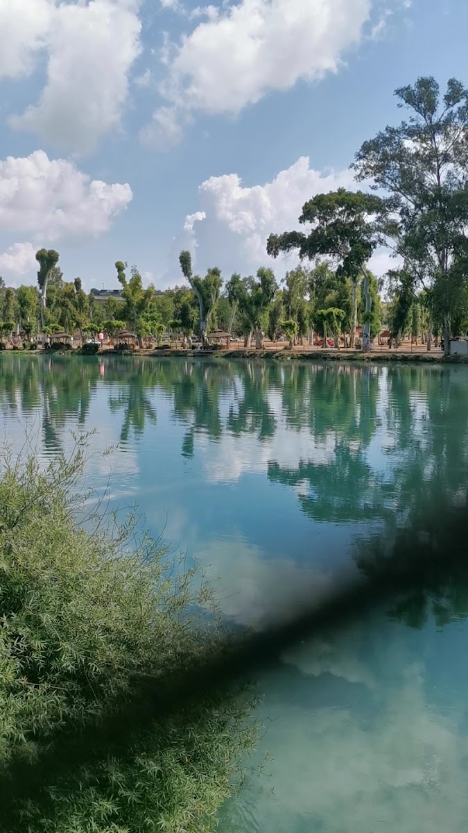 Tarsus Barajı Piknik Alanı — fotoğraf 3