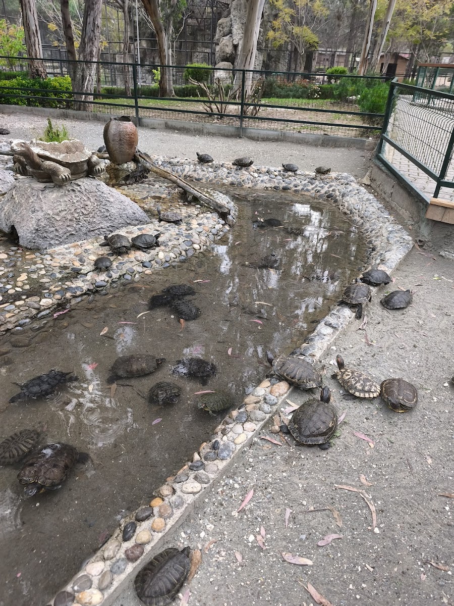 Tarsus Doğa Parkı ve Hayvanat Bahçesi — fotoğraf 2