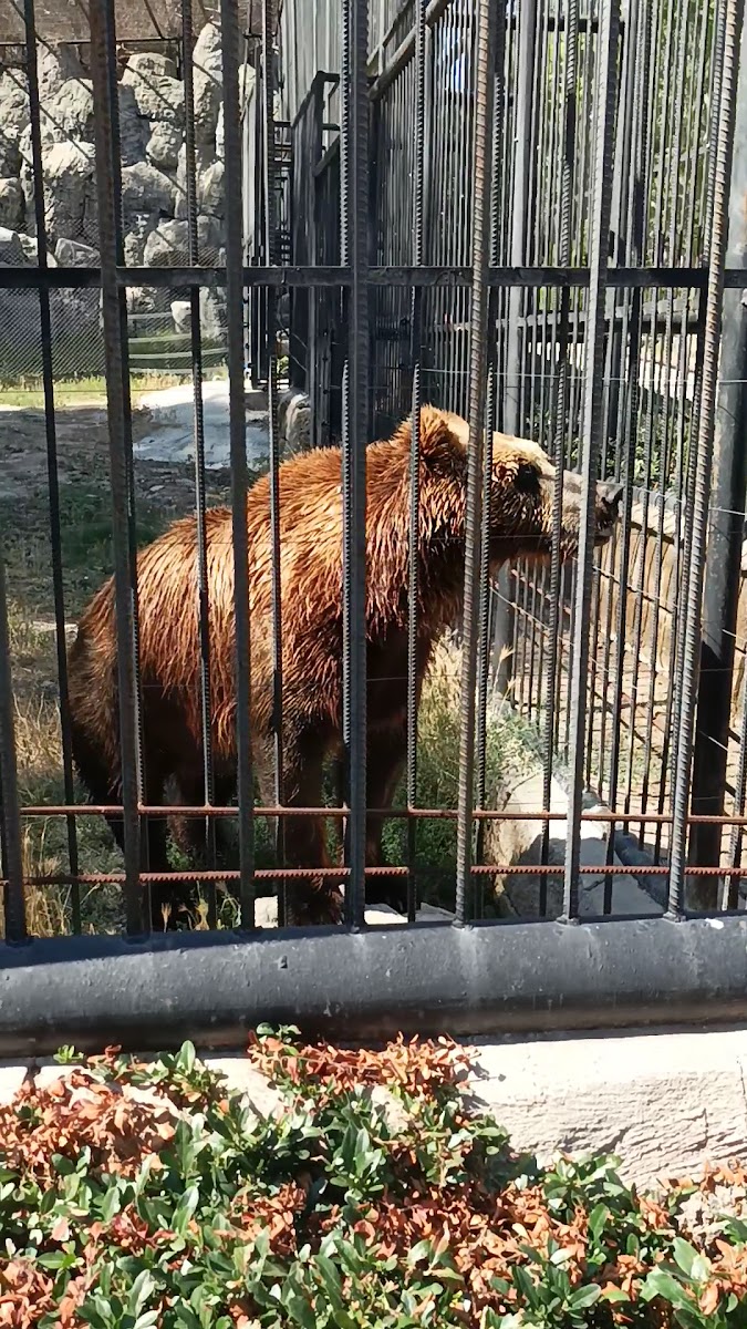 Tarsus Doğa Parkı ve Hayvanat Bahçesi — fotoğraf 3