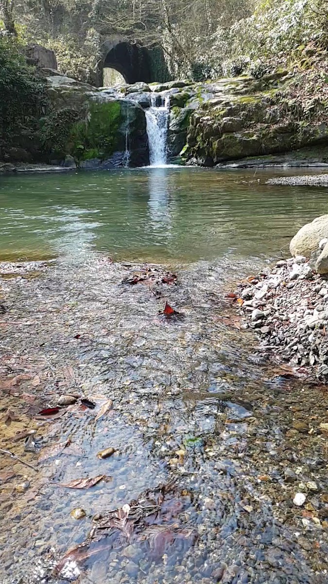tasgolu dogal yasam ve kamp alanı — fotoğraf 3