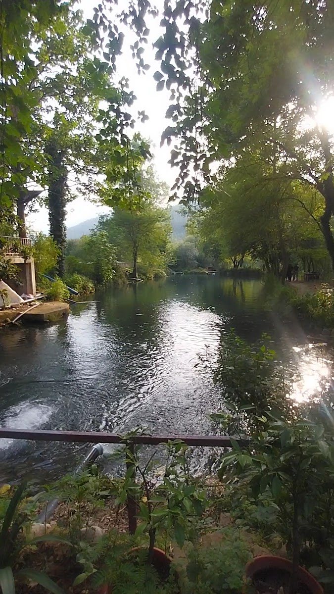 taşköprü alabalık — fotoğraf 3