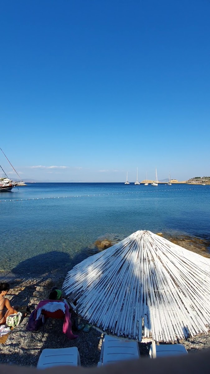 Taşlık Plajı — fotoğraf 3