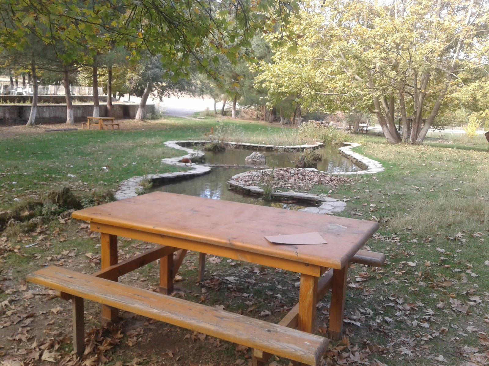 Taşova TEKKE GÖLÜ — fotoğraf 2