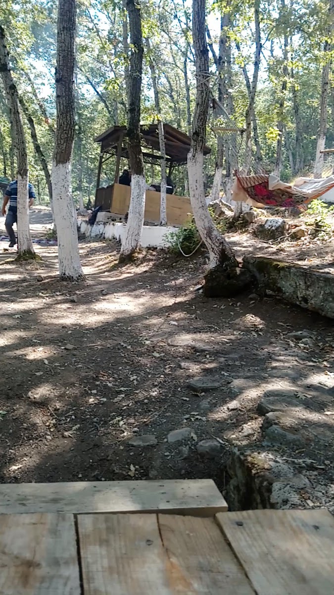 Taşova TEKKE GÖLÜ — fotoğraf 3