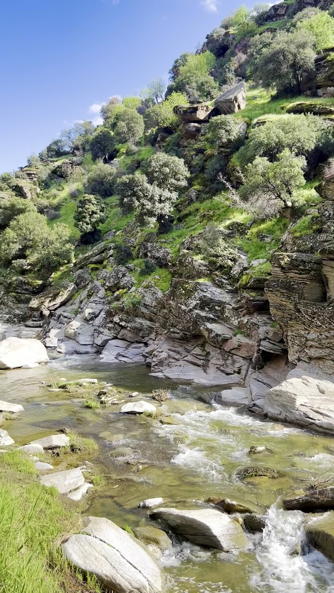 Taşyaran Vadisi Tabiat Parkı — photo 3