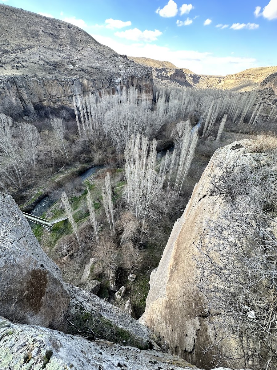 Tatildokya — fotoğraf 4