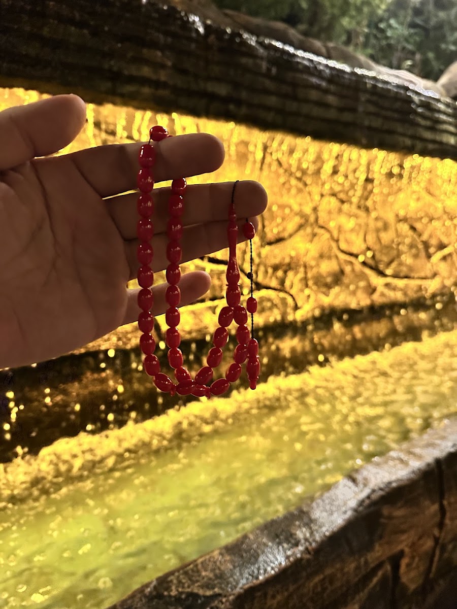 Tavacı Recep Usta Parkvadi - Ankara — photo 3