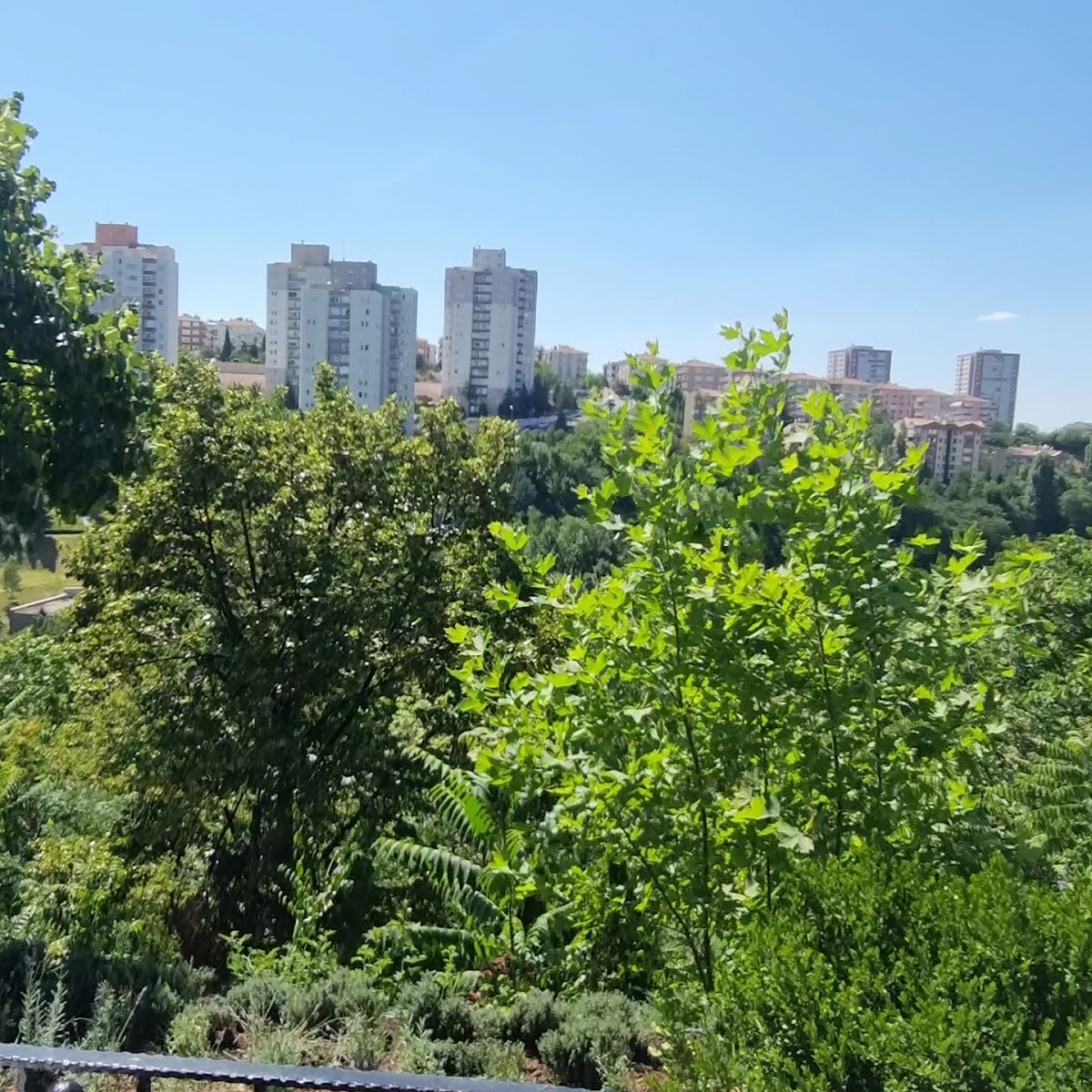 Tavacı Recep Usta Parkvadi - Ankara — fotoğraf 3