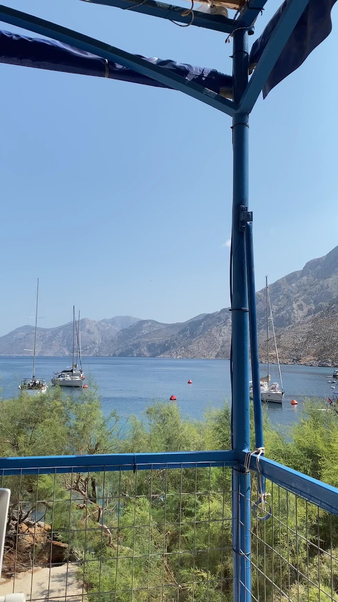 Taverna Ilias — photo 3