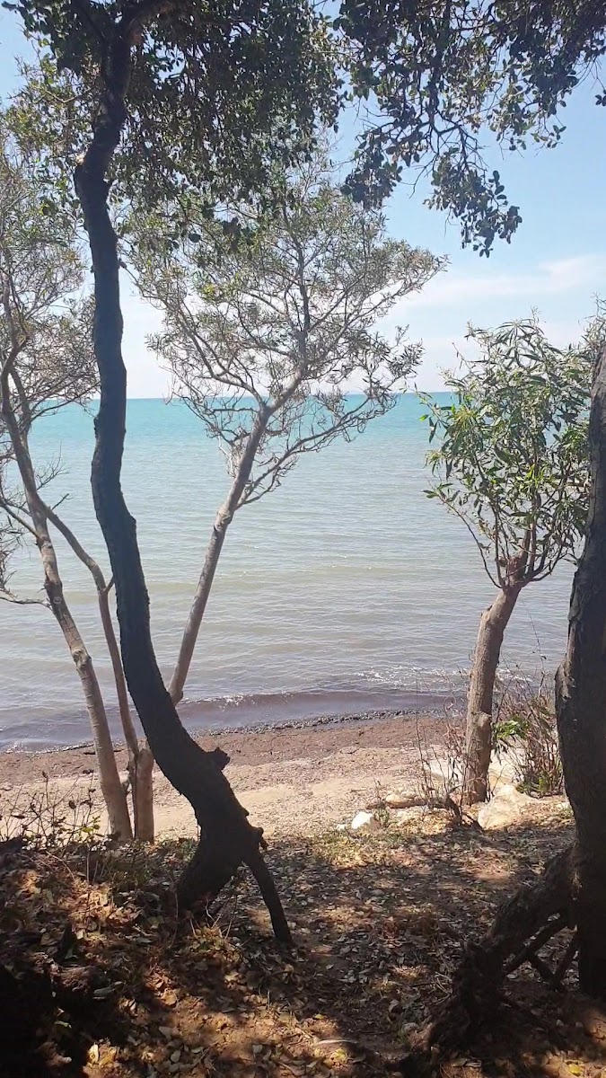 Tavşan Burnu Orman Kampı — fotoğraf 10