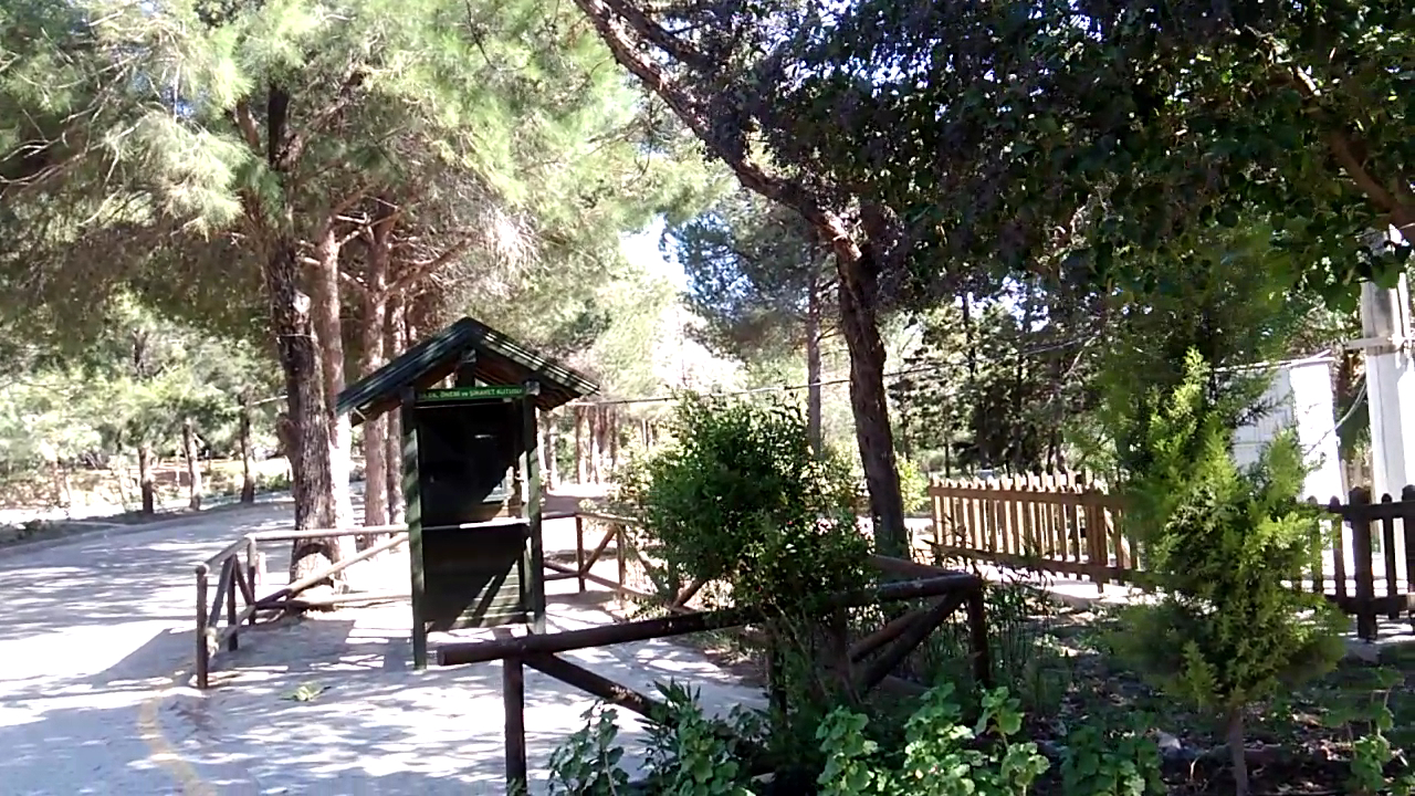 Tavşanburnu Tabiat Parkı — fotoğraf 2