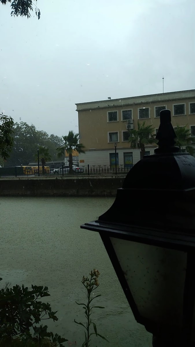 Tavuk Dünyası Yalova Cadde — fotoğraf 3