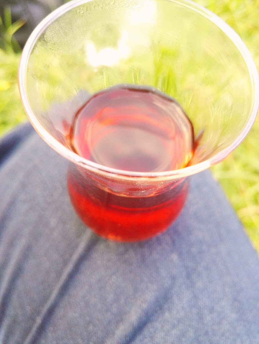 Taylan Alabalık Tesisleri Ve Lokantası — fotoğraf 2