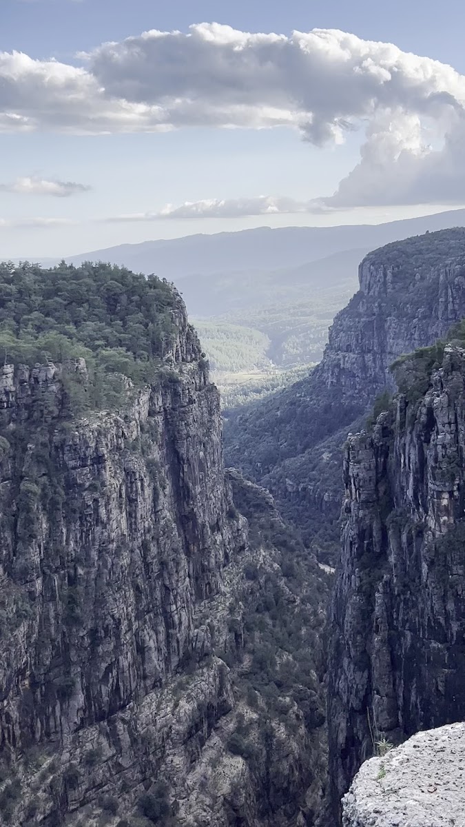 Tazı Kanyonu — photo 3