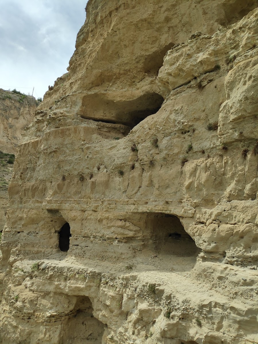 Teke Sarayı — fotoğraf 2