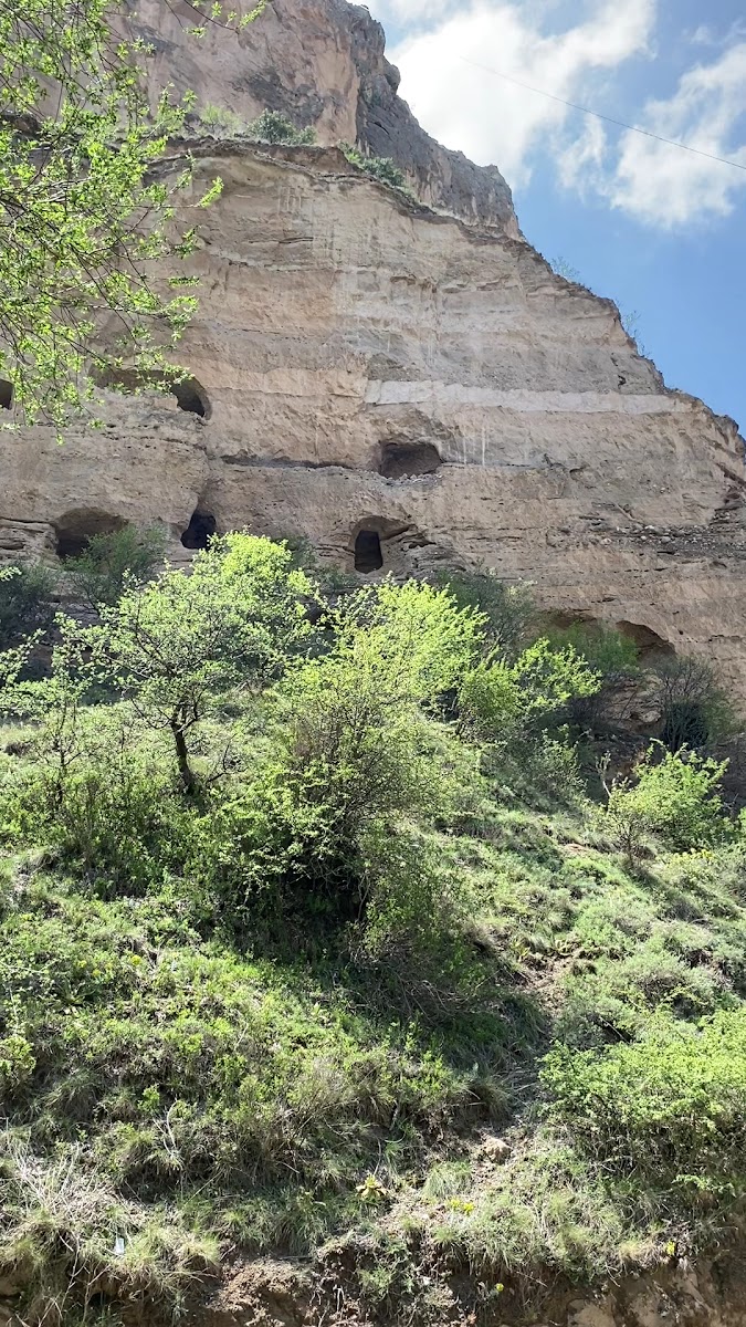 Teke Sarayı — fotoğraf 3
