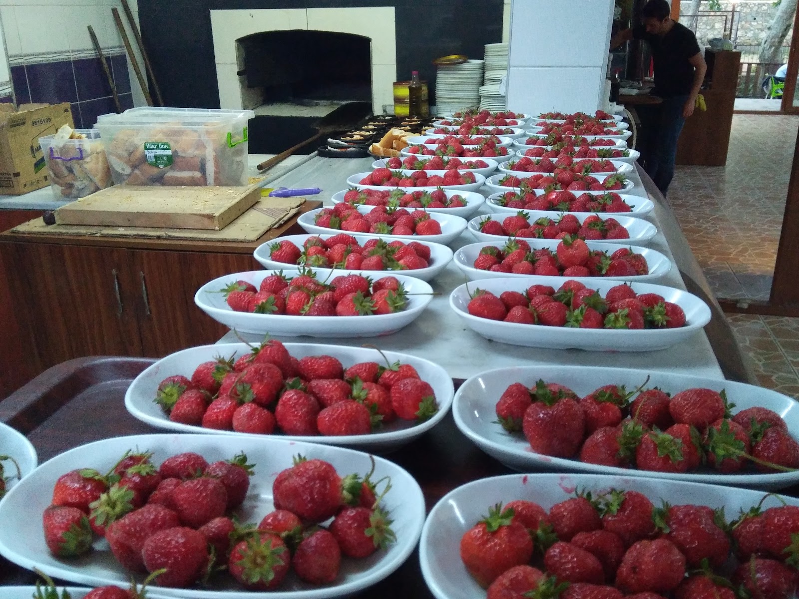 Tekir Alabalık Tesisleri/Tekir/Kahramanmaraş — fotoğraf 5