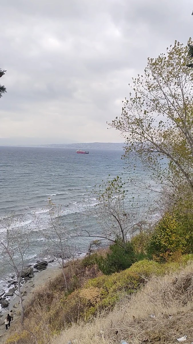 Tekirbağ — fotoğraf 3