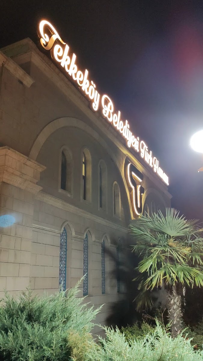 Tekkeköy Belediyesi Türk Hamamı — fotoğraf 2