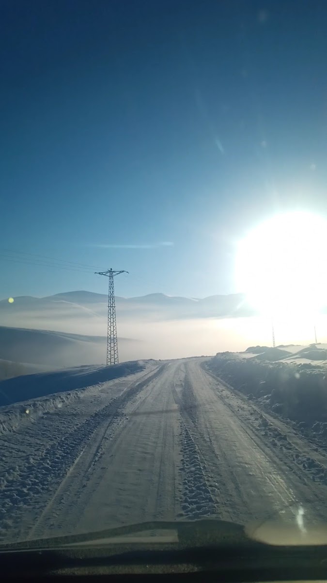 Tekman — photo 3